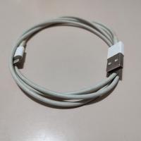 Cavetto ricarica per iPhone 