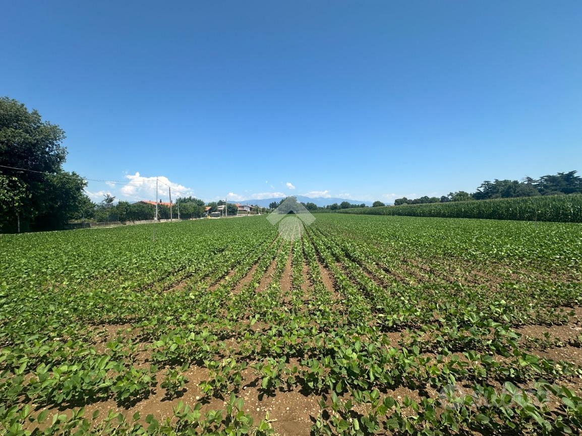 TERRENO A LORIA - Vista 4