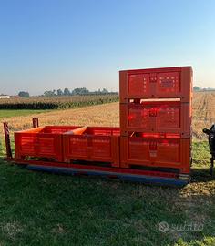 Trenini carrelli porta bins raccoglifrutta