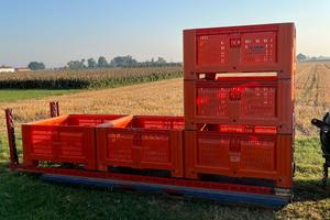 Trenini carrelli porta bins raccoglifrutta