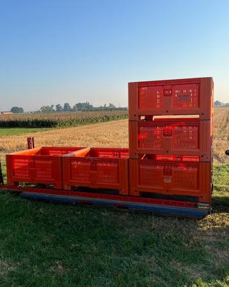 Trenini carrelli porta bins raccoglifrutta