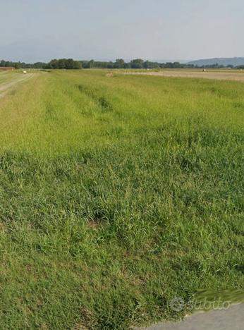 Terreno agricolo