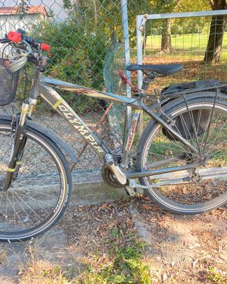 Citybike