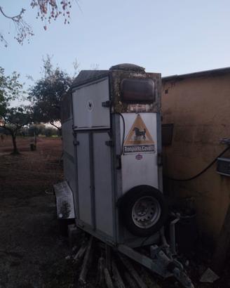 trailer cavalli ZPZ
