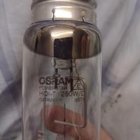 lampada 250 w per fari