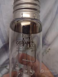 lampada 250 w per fari