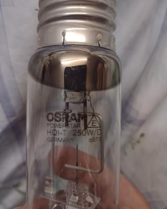 lampada 250 w per vecchi fari