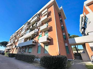 3 LOCALI A COLLESALVETTI