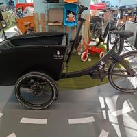 Cargobike Danese 4 posti