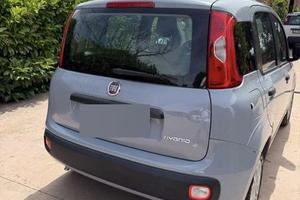 Fiat panda hybrid