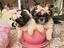 Immagine 3