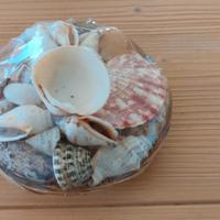Cestino di conchiglie per la casa