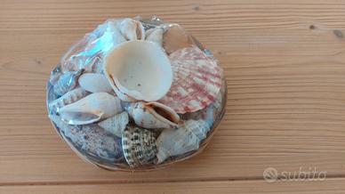 Cestino di conchiglie per la casa