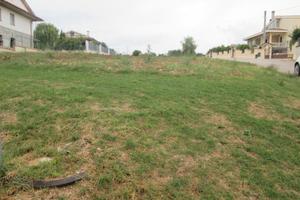 Rif. 217b terreno a collecorvino