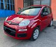 fiat-panda-1-2-pop-km71000-