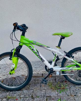 Mountain Bike FERRINI Bambino