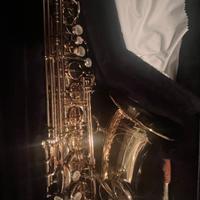 Yanagisawa A-WO1 PROFESSIONAL SAX ALTO