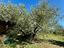 Immagine 23
