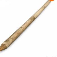 Pali trattati in legno 10x2.50