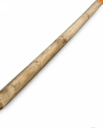 Pali trattati in legno 10x2.50