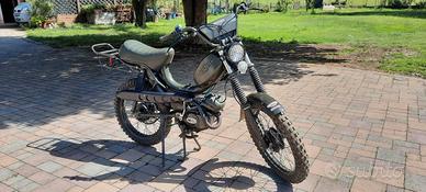 Testi militar