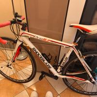 Bici da corsa Shockblaze