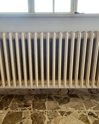 Termosifone in ghisa