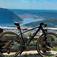 Specialized epic ht s- works
