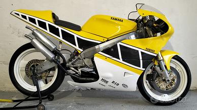 1991 Cagiva Mito da pista con motore RD350