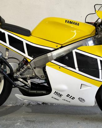 1991 Cagiva Mito da pista con motore RD350