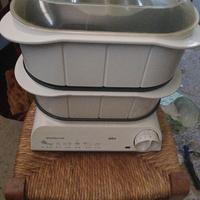 vaporiera elettrica Braun