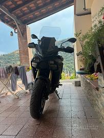 Tracer 9 GT