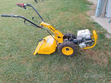 motocoltivatore pasquali tb10