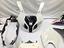 Immagine 7
