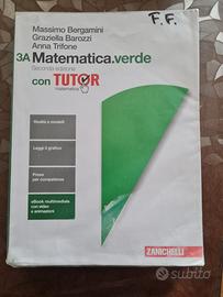 Matematica verde con tutor