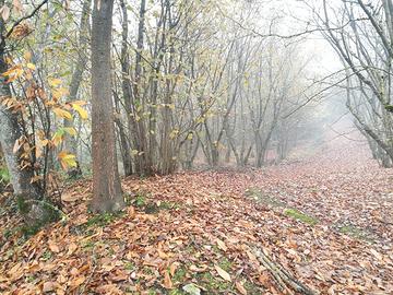 A pochi minuti dall'uscita av-est