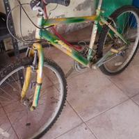 MTB ALPEN  24"