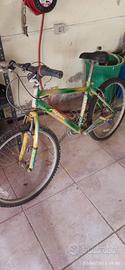 MTB ALPEN  24"