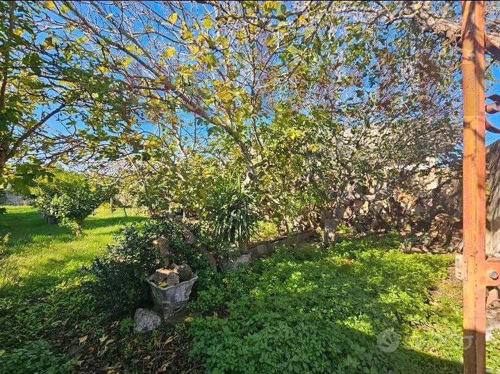 Terreno Residenziale Copertino [CO 349VRG] - Vista 4