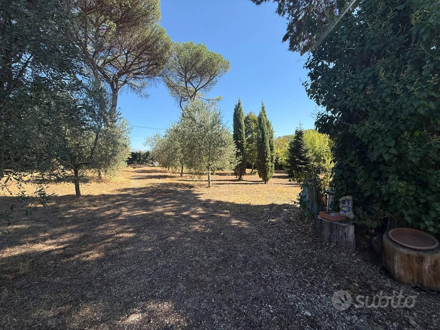 Rustico con 2000 Mq. di terreno Pianeggiante - Vista 2