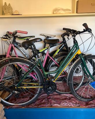 Bici donna e mtb