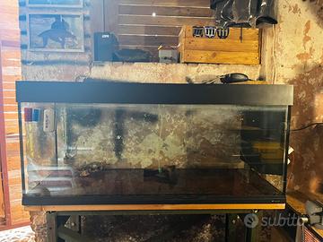Acquario 240lt ferplast e accessori vari