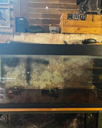 Acquario 240lt ferplast e accessori vari