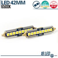 Lampadine LED SILURO 42 mm C5W 9 LED 6500K Canbus