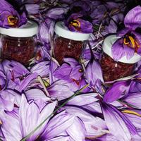 Zafferano in pistilli