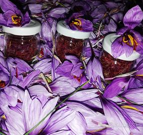 Zafferano in pistilli