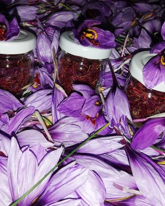 Zafferano in pistilli