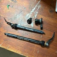 Coppia perni passanti Cervelo