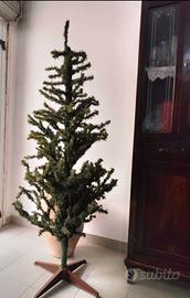  albero di natale alto 1,75 mt