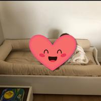 Lettino Montessoriano Woodly originale come nuovo